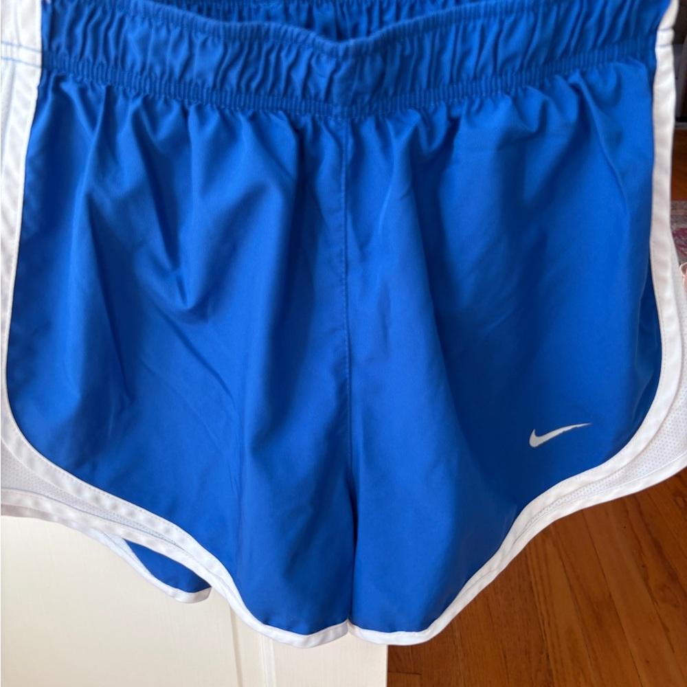 Nike Dri-FIT Blue Athletic Shorts